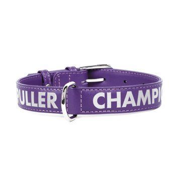 Нашийник DOG PULLER CHAMPION (ширина 20мм, довжина 30-39см) фіолетовий 122 фото