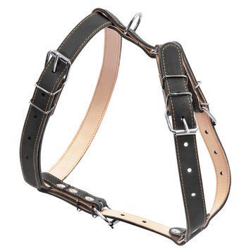 Шлея "CoLLaR" подвійна для середніх собак (ширина 25мм, А:49-68см, В:68-80см) чорний 06421 фото