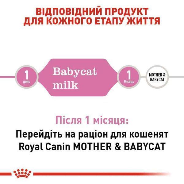 Роял Канін (ROYAL CANIN MATURE BABYCAT MILK) Замінник молока кішки для кошенят від народження до відлучення 300г R448046 фото