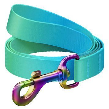 Повідець для собак з нейлону WAUDOG Nylon Recycled, градієнт, S, Ш 15 мм, Д 122 cм блакитний 46622 фото