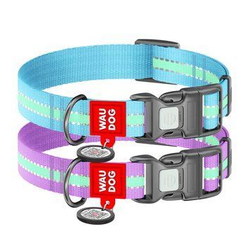 Нашийник для собак нейлоновий WAUDOG Nylon з QR паспортом, світлонакопичувальний/світловідбивний, пластиковий фастекс, Ш 15 мм, Дов 25-35 см блакитний 45622 фото