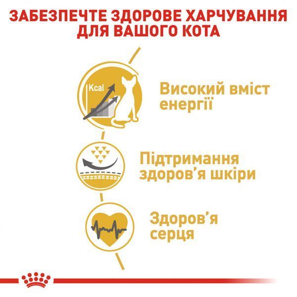 Роял Канін (ROYAL CANIN SPHYNX ADULT) Корм для дорослих котів породи Сфінкс 2кг 2556020 фото