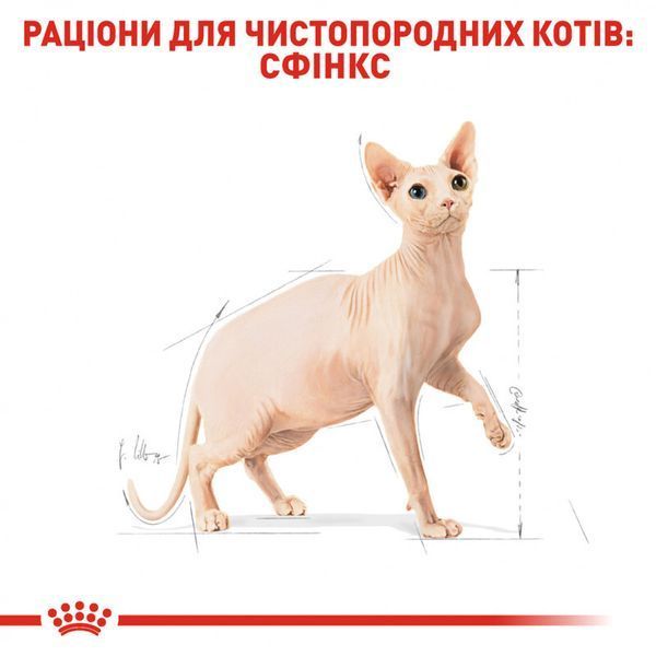 Роял Канін (ROYAL CANIN SPHYNX ADULT) Корм для дорослих котів породи Сфінкс 2кг 2556020 фото