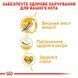 Роял Канін (ROYAL CANIN SPHYNX ADULT) Корм для дорослих котів породи Сфінкс 2кг 2556020 фото 4