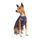 Жилет Pet Fashion &laquo;Calm&raquo; для собак 4823082423101 фото 1