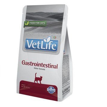 Сухий корм Farmina Vet Life Gastrointestinal для котів при захворюванні ШКТ, 400 г 160385 фото