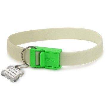 Davis FurEver Brite Safety Collar ДЕВІС НАШИЙНИК що світиться для собак FB.SC-S фото