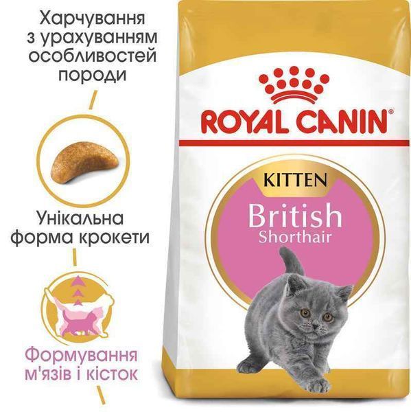Роял Канін (ROYAL CANIN KITTEN BRITISH SHORTHAIR) Корм для Британських короткошерстих кошенят 2566004 фото