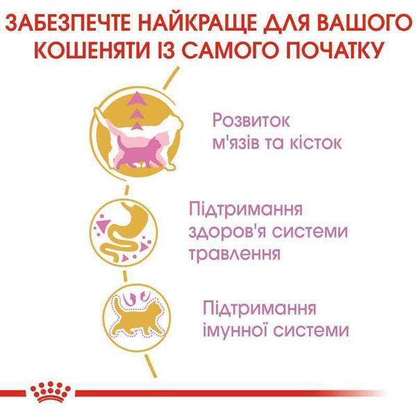Роял Канін (ROYAL CANIN KITTEN BRITISH SHORTHAIR) Корм для Британських короткошерстих кошенят 2566004 фото