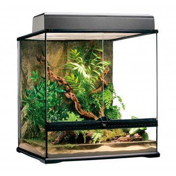 Тераріум Exo Terra Natural Terrarium скляний, 60 x 45 x 60 см 015561226127 фото
