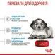 Роял Канін (ROYAL CANIN MEDIUM PUPPY) Корм для цуценят середніх порід 1кг 30030101 фото 4