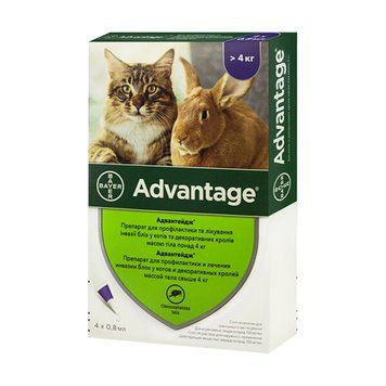 Краплі від бліх Bayer Advantage 80 для котів понад 4 кг 54166(1шт) фото