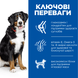 Hill&rsquo;s SCIENCE PLAN Adult Large Breed Сухий корм для дорослих собак великих порід, з ягням і рисом, 14 кг(10 кг+4кг в Подарунок) 99607638 фото 2