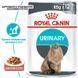Роял Канін (ROYAL CANIN URINARY CARE) Вологий корм для&nbsp;підтримки здоров'я сечовидільної системи орослих котів 85г 41570019 фото 2