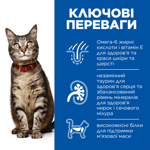 Hill's SCIENCE PLAN Adult Сухий корм для дорослих котів, з куркою, 15 кг(10кг+5кг в Подарунок) 99604063 фото