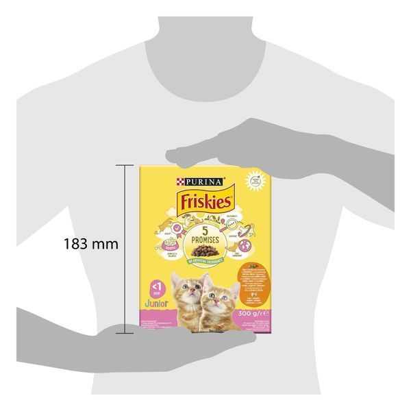 Сухий корм FRISKIES Junior для кошенят Для всіх порід з куркою, індичкою та овочами 300г 7613031868360 фото
