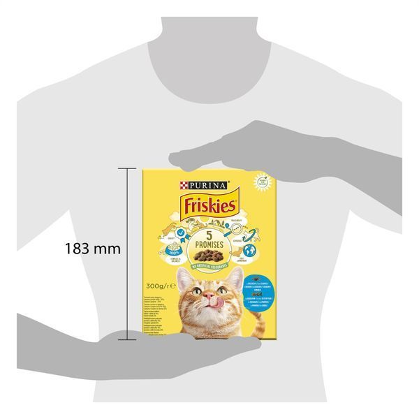 Сухий корм FRISKIES для дорослих Для всіх порід з лососем та овочами 300г 7613031868063 фото