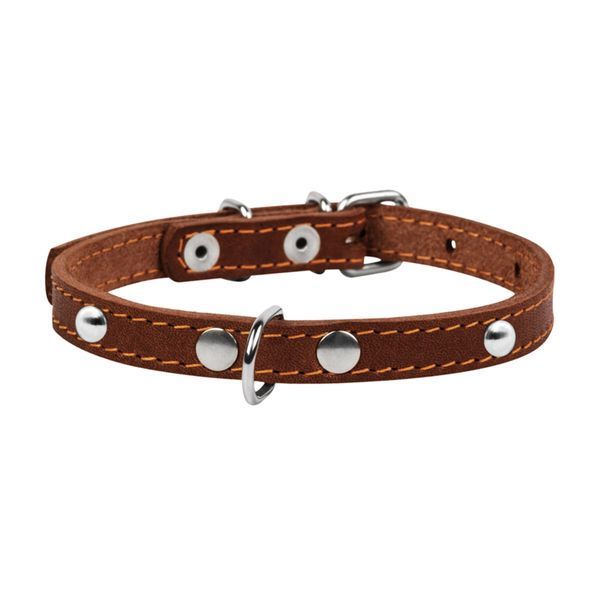 Нашийник "CoLLaR одинарний з прикрасами (ширина 14мм, довжина 27-35см) чорний 00041 фото