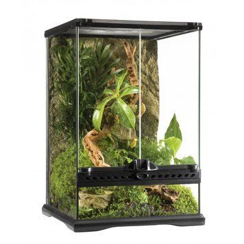 Тераріум Exo Terra Natural Terrarium скляний, 30x30x45 см 015561226028 фото