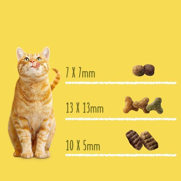 Сухий корм FRISKIES для дорослих Для всіх порід з яловичиною, куркою і овочами 10кг 5997204569004 фото