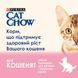 Вологий корм CAT CHOW Kitten для кошенят, шматочки&nbsp;в желе, з індичкою та цукіні, 85 г 7613036595001 фото 4