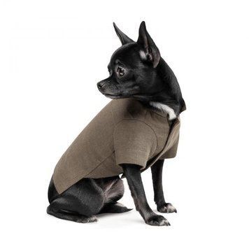 Вишиванка Pet Fashion &laquo;Marco&raquo; для собак PR243033 фото
