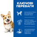 Hill&rsquo;s SCIENCE PLAN Adult Small&Mini Сухий корм для дорослих собак малих і мініатюрних порід, з куркою, 1,5 кг(1кг+0,5кг в Подарунок) 99607654 фото 2