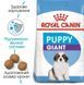 Роял Канін (ROYAL CANIN GIANT PUPPY) Корм для цуценят гігантських порід 1кг 3030010 фото 2