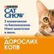Вологий корм CAT CHOW Adult для дорослих котів, шматочки&nbsp;в желе, з яловичиною та баклажанами, 85 г 7613036595025 фото 4