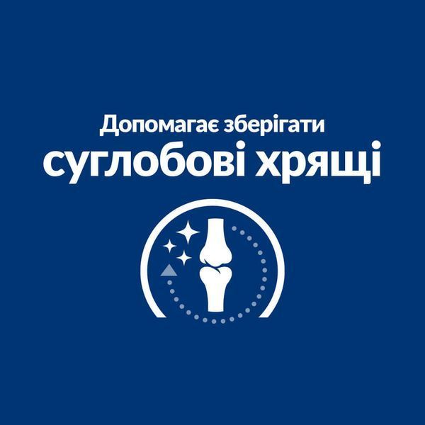 Hill&rsquo;s PRESCRIPTION DIET j/d Сухий корм для котів догляд за суглобамив, з куркою, 1,5 кг 605857 фото