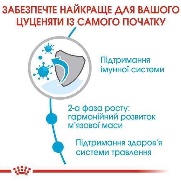 Роял Канін (ROYAL CANIN GIANT JUNIOR) Корм для молодих собак гігантських порід 15кг 3031150 фото