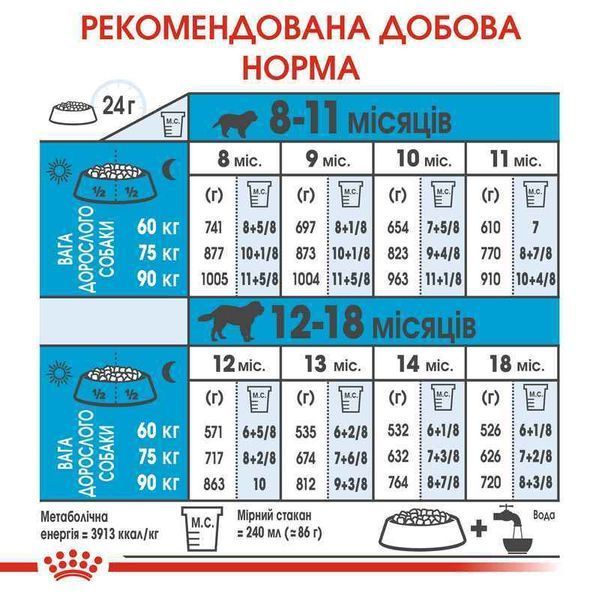 Роял Канін (ROYAL CANIN GIANT JUNIOR) Корм для молодих собак гігантських порід 15кг 3031150 фото