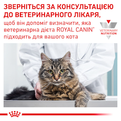 Роял Канін (ROYAL CANIN Gastrointestinal) Повнораціонний дієтичний корм для котів при розладах травлення 85г 40390011  фото