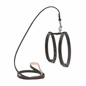 Шлея "CoLLaR" з повідцем для малих собак (ширина 14мм, дов. 122см) чорний 05471 фото