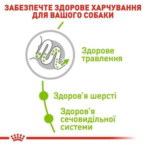 Роял Канін (ROYAL CANIN XSMALL ADULT) Корм для мініатюрних дорослих собак 10030050 фото