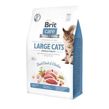 Сухий корм Brit Care Cat GF Large Power & Vitality для котів великих порід, качка та курка, 400 г 8595602540921 фото