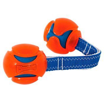 Іграшка CHUCKIT! HYDROSQUEEZE DUO TUG 2 м'ячі з ременем для собак великих розмірів 31477 фото