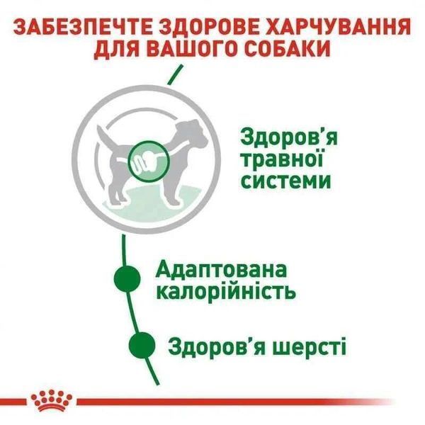 Роял Канін (ROYAL CANIN XSMALL&nbsp;PUPPY) Вологий корм для цуценят 85г 1593001 фото