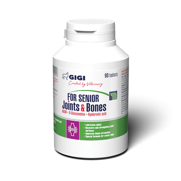 GiGi FOR SENIOR Joints & Bones N90 (tab) / ФОР СЕНЙОР Джойн & Бонс N90 (табл.) GIG43025 фото