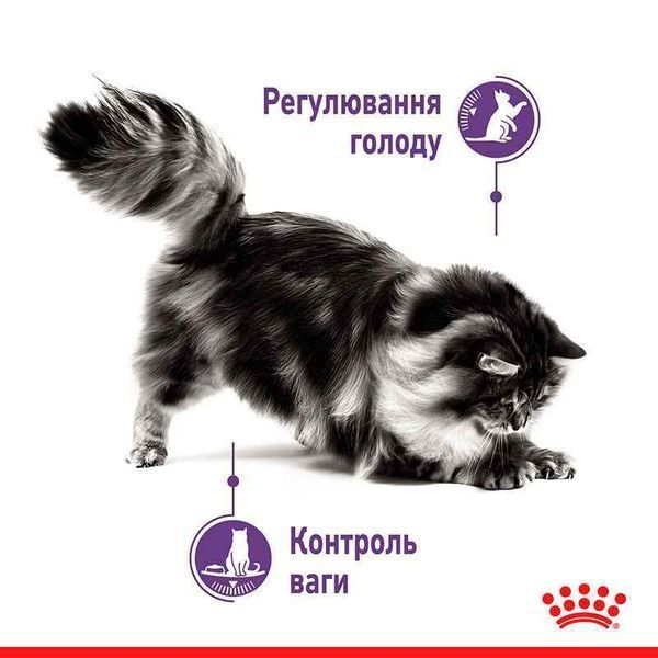 Роял Канін (ROYAL CANIN APPETITE CONTROL CARE) Вологий корм для дорослих стерилізованих котів схильних до випрошування корму 85г 1466001 фото