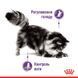 Роял Канін (ROYAL CANIN APPETITE CONTROL CARE) Вологий корм для дорослих стерилізованих котів схильних до випрошування корму 85г 1466001 фото 3