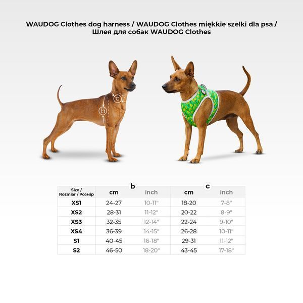 Шлея для собак м'яка WAUDOG Clothes з QR-паспортом, малюнок "NASA21", XS1 B 24-27 см, C 18-20 см 2901-0148 фото