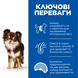 Hill&rsquo;s SCIENCE PLAN Adult Light Small&Mini Сухий корм для схильних до зайвої ваги дорослих собак малих і мініатюрних порід, з куркою, 6 кг 604320 фото 2