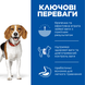 Hill&rsquo;s SCIENCE PLAN Adult Perfect Weight Medium Breed Сухий корм для підтримання ваги дорослих собак середніх порід, з куркою, 2кг 604296 фото 2