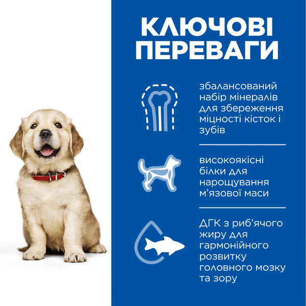 Hill&rsquo;s SCIENCE PLAN Puppy Large Breed Сухий корм для цуценят великих порід, з куркою, 14,5 кг 604386 фото
