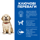 Hill&rsquo;s SCIENCE PLAN Puppy Large Breed Сухий корм для цуценят великих порід, з куркою, 14,5 кг 604386 фото 2