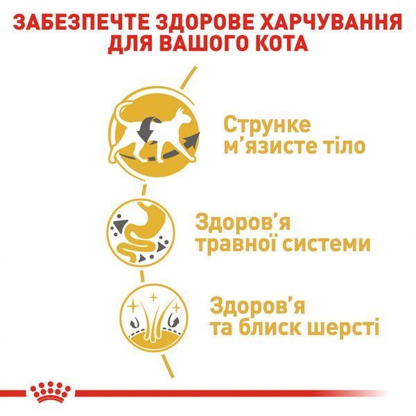 Роял Канін (ROYAL CANIN SIAMESE ADULT) Корм для дорослих котів породи Сіамська 400г 2551004 фото