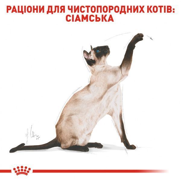 Роял Канін (ROYAL CANIN SIAMESE ADULT) Корм для дорослих котів породи Сіамська 400г 2551004 фото