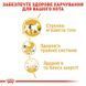 Роял Канін (ROYAL CANIN SIAMESE ADULT) Корм для дорослих котів породи Сіамська 400г 2551004 фото 6