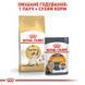 Роял Канін (ROYAL CANIN SIAMESE ADULT) Корм для дорослих котів породи Сіамська 400г 2551004 фото 5
